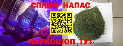 гидра Нальчик