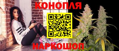 гидра Нальчик